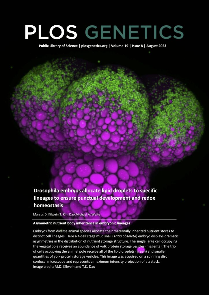 Marcus’ paper made the cover of PLoS Welte Lab